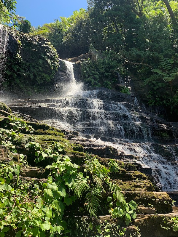 waterfall in iriomote