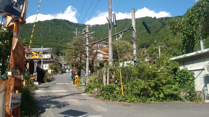 hatonosu street