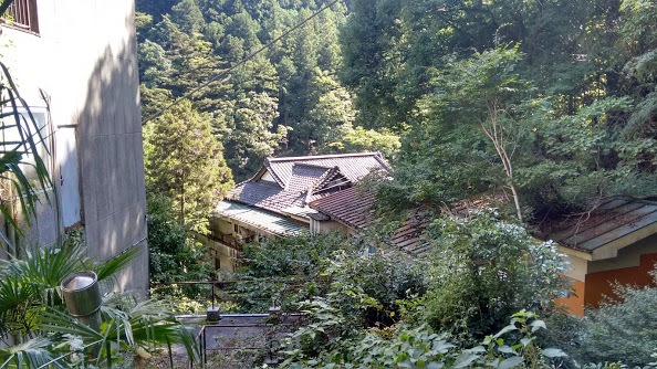 hatonosu station