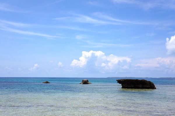 Kuroshima  island