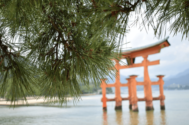 miyajima view