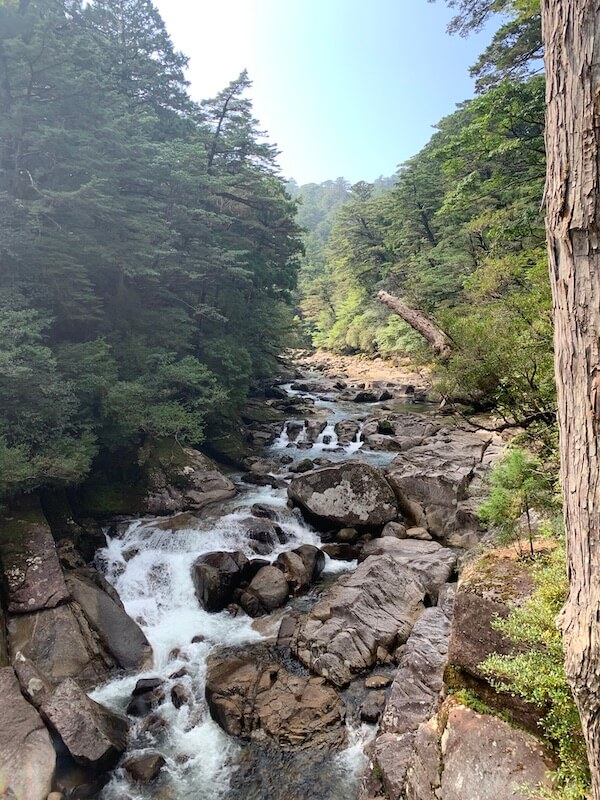 yakushima view